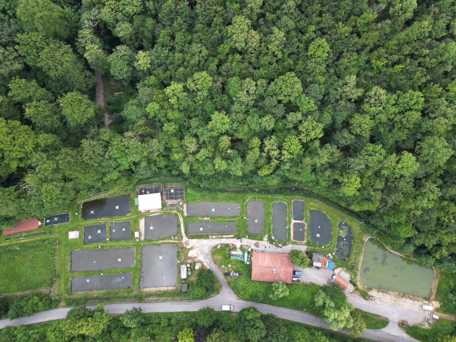 Luftaufnahme der Teichanlage der Forellenzucht Dettmeyer am Teutoburger Wald