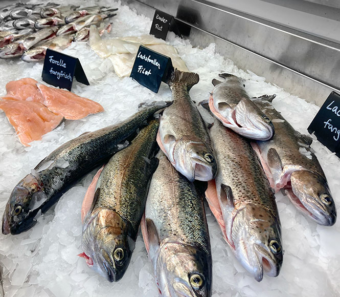 Frische Forellen und Filets in der Verkaufstheke